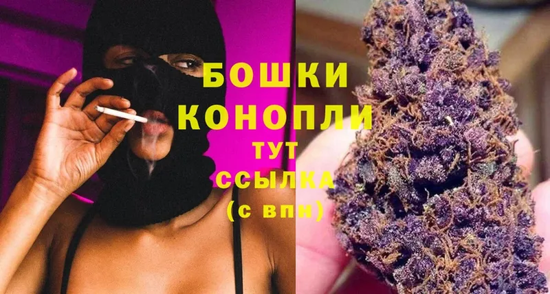 blacksprut как войти  Ардатов  МАРИХУАНА Bruce Banner 